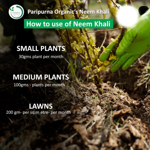 Neem Khali - Image 3