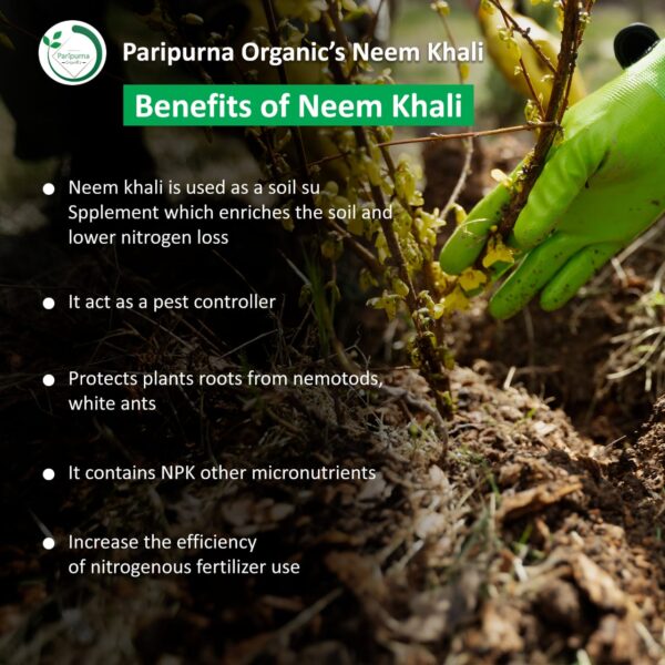 Neem Khali - Image 4