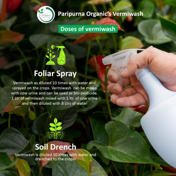 Organic plant growth booster - Image 4